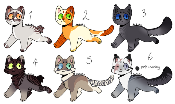 : 2/6 OPEN - Cheap Feline Adoptables :