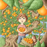 Orange tree garden, cover