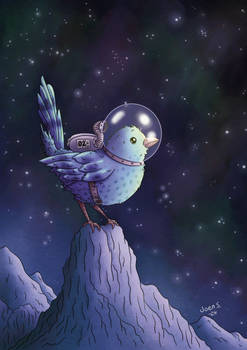 Space birdie