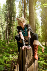 Lamento - Konoe - On a stub