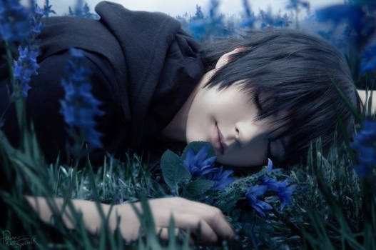 Final Fantasy XV - Noctis - Dreaming