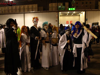 Bleach cartoomics 2013