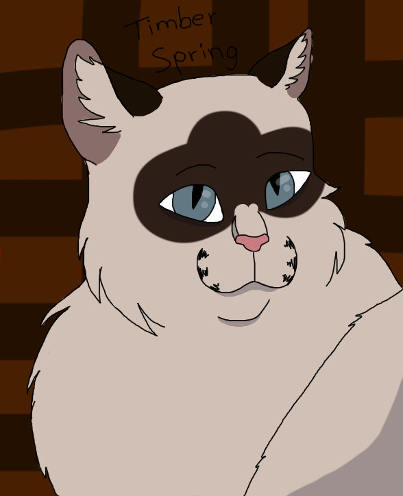 Timber Springing Timber Spring by ZappaaAquarius on DeviantArt