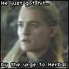 Legolas Herbal