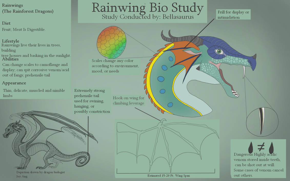 Rainwing Ruff RainWing Bio Study by Bellasauruss on DeviantArt
