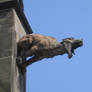 Gargoyle 5