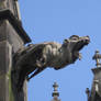 Gargoyle 6