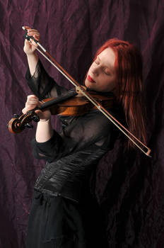 The violinist 7