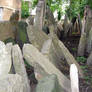 the old jewish cemetery 36