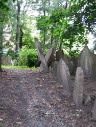 the old jewish cemetery 37