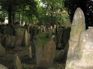 the old jewish cemetery 39