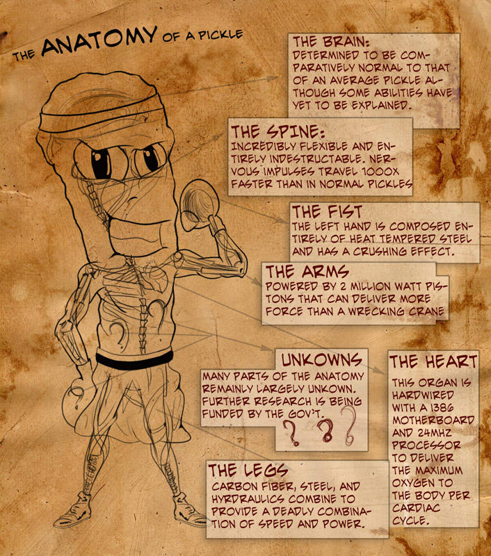 Pickle Body Part Anatomy of a Pickle by sktzofrenic on DeviantArt