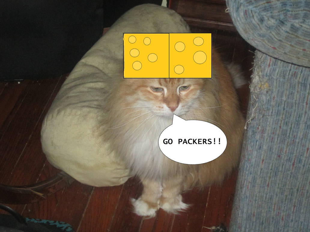 Cheesehead Pi Cosmo Cheesehead Cat by JoshPikaDPLover2016 on DeviantArt