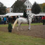 Dressage 07