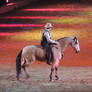 Other riding type 16