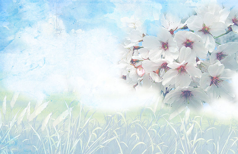 Spring Textuyre Spring Texture by carolla4065 on DeviantArt