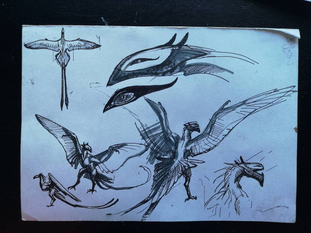 Winged Creature Patterns Winged creature by HoarFrost01 on DeviantArt
