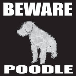 Beware Poodle