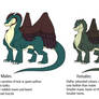 The Maned Raptor Dragon