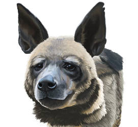 Striped Hyena WIP 4