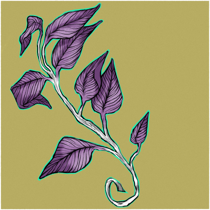 Plant Deviantart INKTOBER Plant by xalycalz on DeviantArt