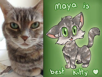 Maya is Best Kitty