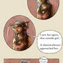 Forestfolk part 4