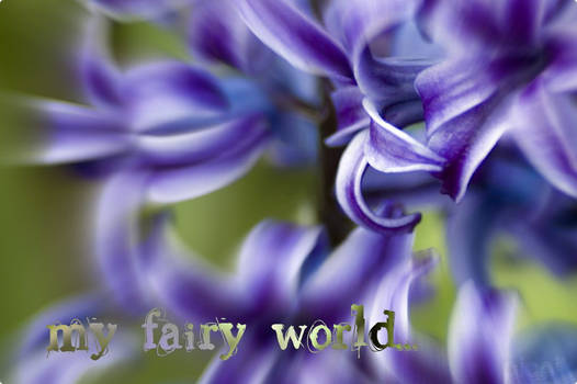 my fairy world