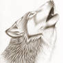 Howling Wolf After Shading