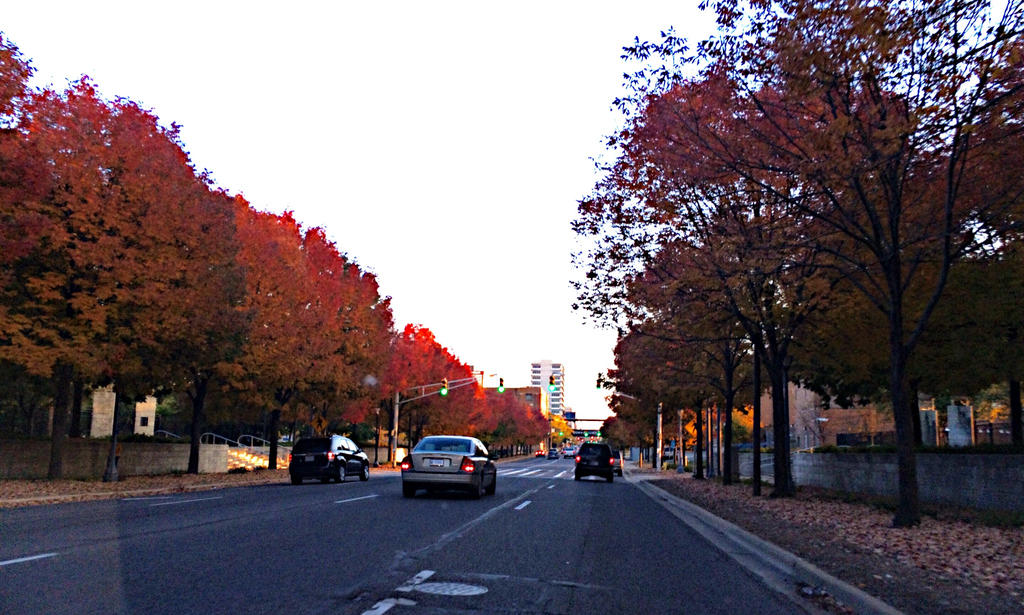 A Fall Highway