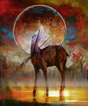 Doe by hoooook Doe by hoooook