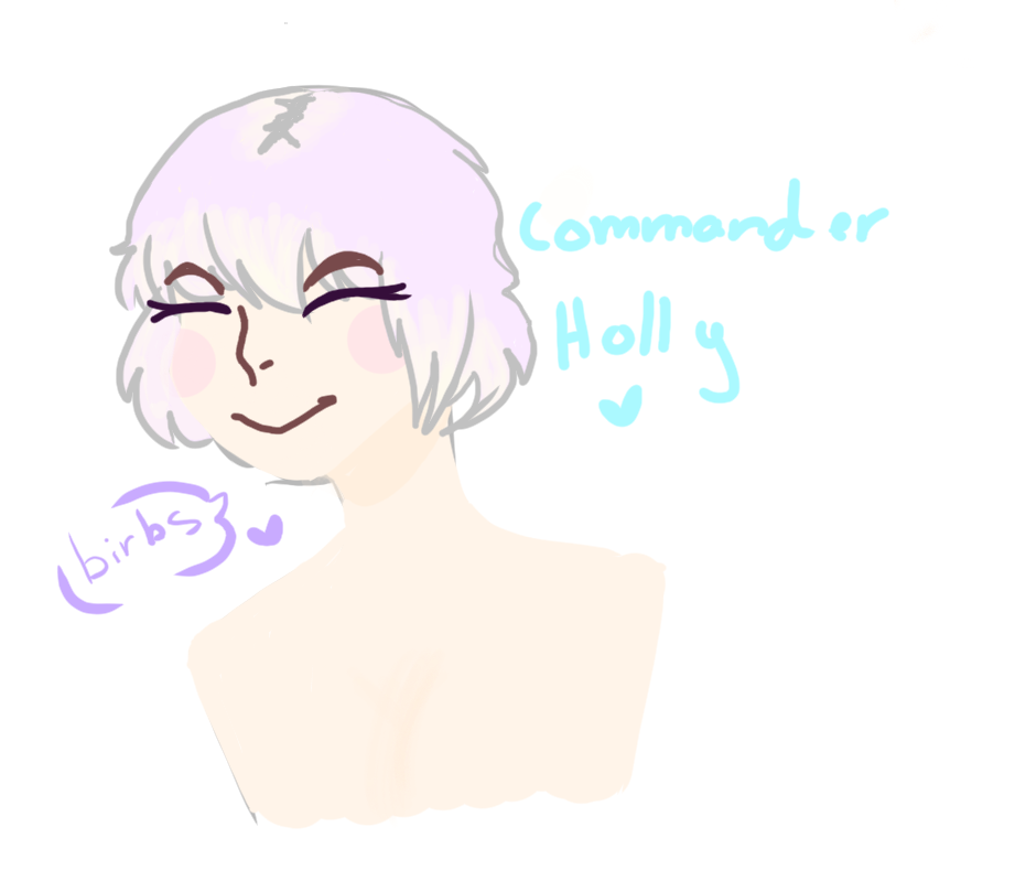 commander Holly headshot