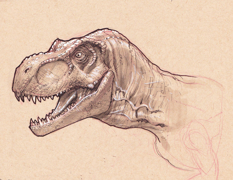 T-Rex head study by StephaneRoux on DeviantArt