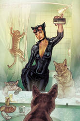 Catwoman  Selfie Variant cover.