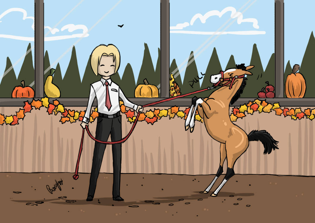 Todd - LSS Turkey Run Rodeo - Yearling Halter by Roxafox on DeviantArt