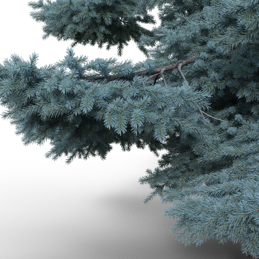 Draft Render by Catherine3678ab on DeviantArt