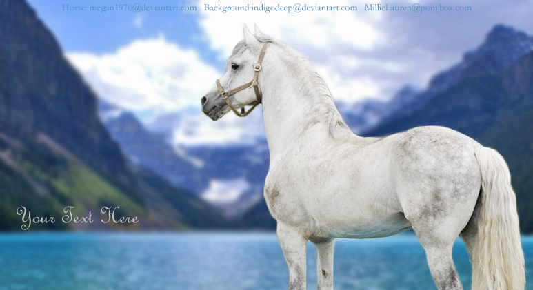 White Horse Picture