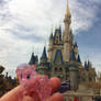 Pinkie Pie goes to Disney World