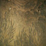 Roxstock background texture 15