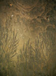 Roxstock background texture 15 by RoxStock