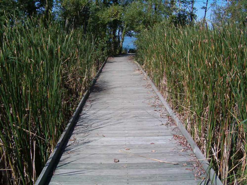 Roxstock  pathway