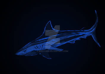 Deep Blue Shark