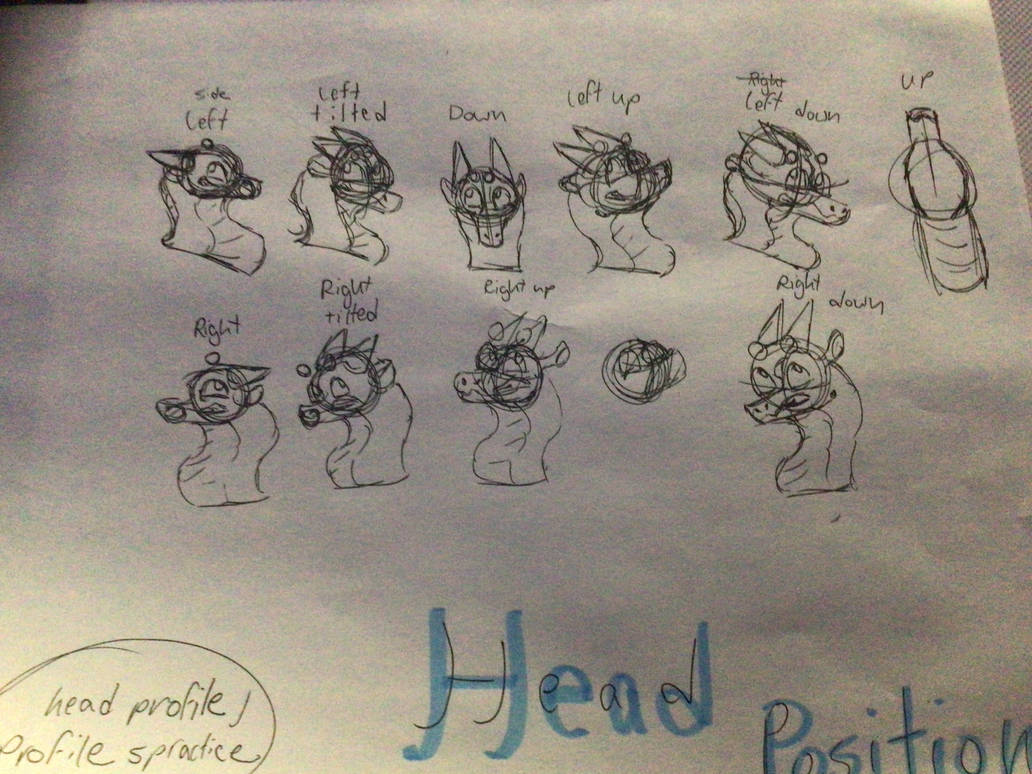 Random Head Positions Head positions ! Free to use to sketch a position by SnakeishMangos on ...
