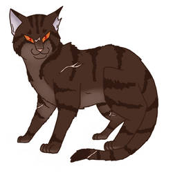 Tigerclaw