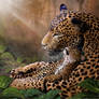 A Mother's Heart