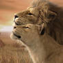A Tender Moment