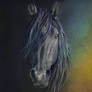 Ostara Silverbird Indybae portrait