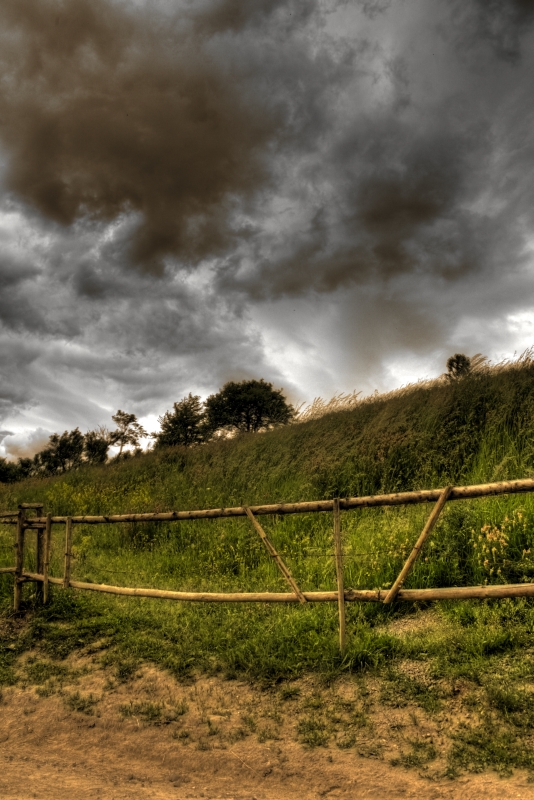 Beyond the fence