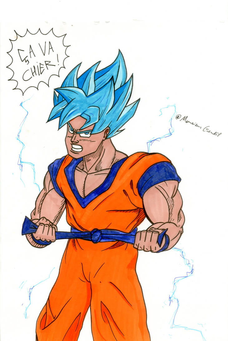 1 Sayan Sangoku Super Sayan God Super Sayan Blue by MGentil-Benitoblanco on ...