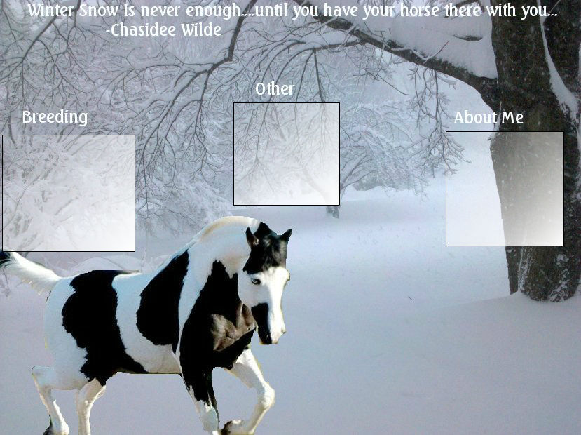 Snow Layout by justanotherwilde on DeviantArt